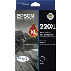 Epson 220 XL DURAbrite Ultra Black Ink