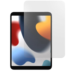 Cygnett iPad 10.9 10th Gen Glass Screen Guard