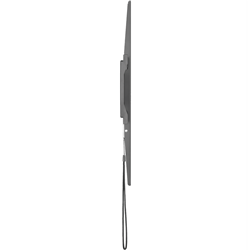 LINDEN Fixed Wall Mount Medium